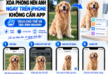 Cách Xóa Phông Nền Ảnh Trên iPhone Không Cần App