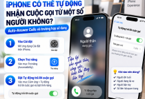 iPhone Có Thể Tự Động Nhận Cuộc Gọi Không? Cách Bật Auto-Answer Calls
