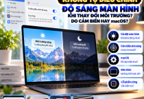 MacBook Không Tự Điều Chỉnh Độ Sáng Màn Hình: Nguyên Nhân Và Cách Khắc Phục