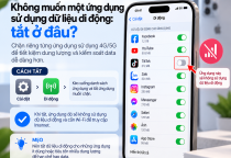 Không Muốn Một Ứng Dụng Sử Dụng Dữ Liệu Di Động: Tắt Ở Đâu?