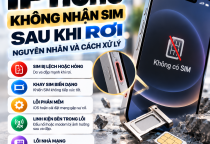 iPhone Không Nhận SIM Sau Khi Rơi: Nguyên Nhân Và Cách Xử Lý