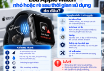Loa Apple Watch Nhỏ Hoặc Rè Sau Thời Gian Sử Dụng: Do Đâu?