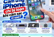 Cảm Ứng iPhone Chỉ Bị Loạn Khi Cắm Sạc: Vì Sao?