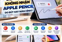 iPad Không Nhận Apple Pencil: Do Bút Hay Màn Hình?