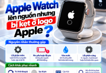 Apple Watch Lên Nguồn Nhưng Bị Kẹt Ở Logo Apple: Xử Lý Thế Nào?