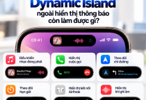 Dynamic Island Ngoài Hiển Thị Thông Báo Còn Làm Được Gì Trên iPhone?