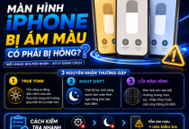 Màn Hình iPhone Bị Ám Màu Có Phải Bị Hỏng?