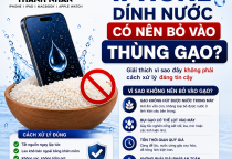 iPhone Dính Nước Có Nên Bỏ Vào Thùng Gạo?