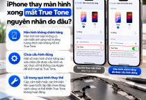 iPhone Thay Màn Hình Xong Mất True Tone: Nguyên Nhân Do Đâu?