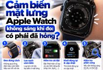Cảm Biến Mặt Lưng Apple Watch Không Sáng Khi Đo: Có Phải Đã Hỏng?