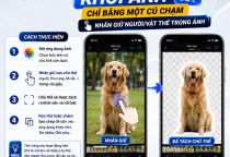 Cách Tách Chủ Thể Khỏi Ảnh Trên iPhone Chỉ Bằng Một Cú Chạm
