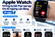 Apple Watch Không Tự Kết Thúc Bài Tập Khi Đã Ngừng Vận Động: Nguyên Nhân Và Cách Khắc Phục