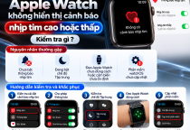 Apple Watch Không Hiển Thị Cảnh Báo Nhịp Tim Cao Hoặc Thấp: Nguyên Nhân Và Cách Khắc Phục