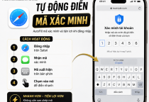 Safari Tự Động Điền Mã Xác Minh Trên iPhone Như Thế Nào?