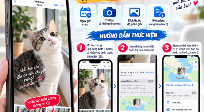 Cách Xem Thông Tin Chi Tiết Của Một Bức Ảnh Trên iPhone