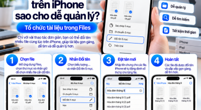 Đổi Tên Nhiều File Trên iPhone Sao Cho Dễ Quản Lý?