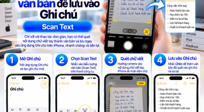 Quét Chữ Viết Thành Văn Bản Để Lưu Vào Ghi Chú Trên iPhone