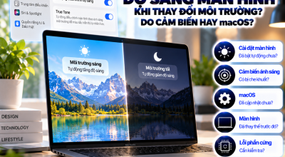 MacBook Không Tự Điều Chỉnh Độ Sáng Màn Hình: Nguyên Nhân Và Cách Khắc Phục