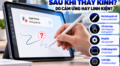 iPad Không Nhận Apple Pencil Sau Khi Thay Kính: Nguyên Nhân Và Cách Khắc Phục