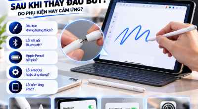 iPad Không Nhận Apple Pencil Sau Khi Thay Đầu Bút: Nguyên Nhân Và Cách Khắc Phục