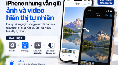 Đảo Màu Màn Hình iPhone Nhưng Vẫn Giữ Ảnh Và Video Hiển Thị Tự Nhiên