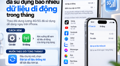 Kiểm Tra iPhone Đã Sử Dụng Bao Nhiêu Dữ Liệu Di Động Trong Tháng