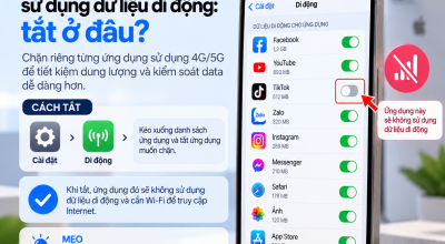 Không Muốn Một Ứng Dụng Sử Dụng Dữ Liệu Di Động: Tắt Ở Đâu?