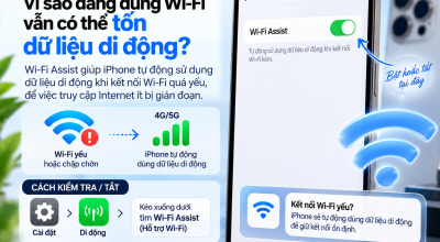 Wi-Fi Assist Là Gì? Vì Sao Đang Dùng Wi-Fi Vẫn Có Thể Tốn Dữ Liệu Di Động?