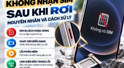 iPhone Không Nhận SIM Sau Khi Rơi: Nguyên Nhân Và Cách Xử Lý