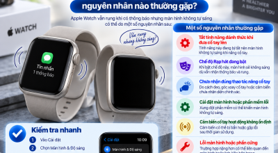 Apple Watch Rung Nhưng Màn Hình Không Sáng: Nguyên Nhân Nào Thường Gặp?