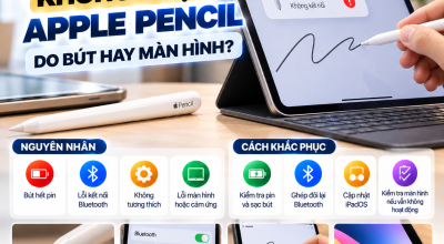 iPad Không Nhận Apple Pencil: Do Bút Hay Màn Hình?