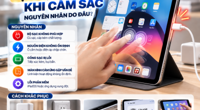iPad Bị Loạn Cảm Ứng Khi Cắm Sạc: Nguyên Nhân Do Đâu?