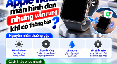 Apple Watch Màn Hình Đen Nhưng Vẫn Rung Khi Có Thông Báo: Lỗi Gì?