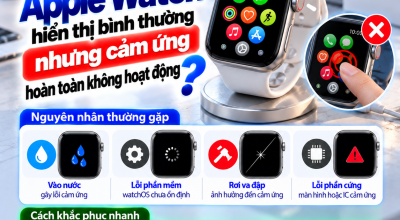 Apple Watch Hiển Thị Bình Thường Nhưng Cảm Ứng Không Hoạt Động: Vì Sao?