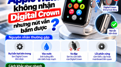 Apple Watch Không Nhận Digital Crown Nhưng Nút Vẫn Bấm Được: Vì Sao?