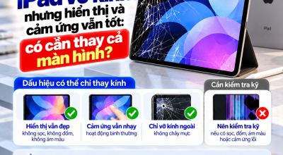 iPad Vỡ Kính Nhưng Hiển Thị Và Cảm Ứng Vẫn Tốt: Có Cần Thay Cả Màn Hình?