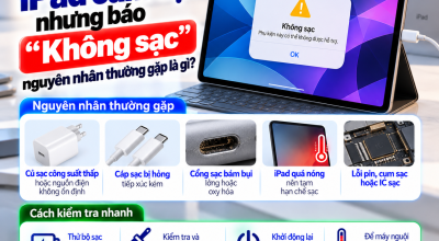 iPad Cắm Sạc Nhưng Báo “Không Sạc”: Nguyên Nhân Thường Gặp Là Gì?
