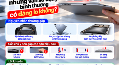 iPad Bị Cong Nhẹ Nhưng Vẫn Sử Dụng Bình Thường: Có Đáng Lo Không?