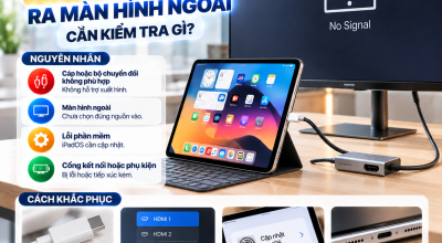 iPad Không Xuất Hình Ra Màn Hình Ngoài: Cần Kiểm Tra Gì?