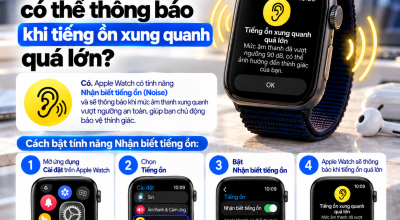 Apple Watch Có Thể Thông Báo Khi Tiếng Ồn Xung Quanh Quá Lớn Không?
