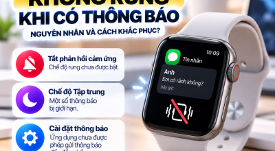 Apple Watch Không Rung Khi Có Thông Báo: Nguyên Nhân Và Cách Khắc Phục