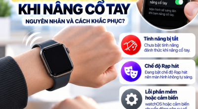 Apple Watch Không Sáng Màn Hình Khi Nâng Cổ Tay: Nguyên Nhân Và Cách Khắc Phục