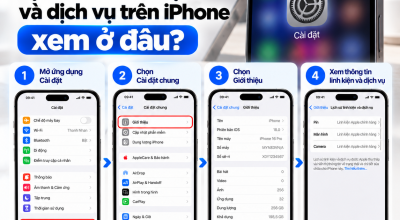 Lịch Sử Linh Kiện Và Dịch Vụ Trên iPhone Xem Ở Đâu?