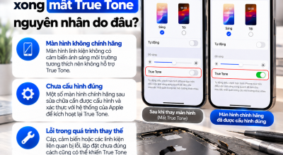 iPhone Thay Màn Hình Xong Mất True Tone: Nguyên Nhân Do Đâu?