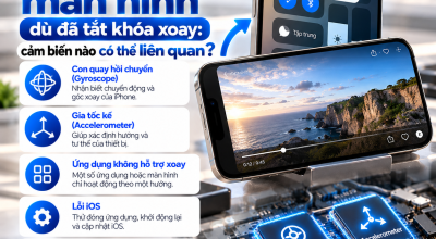iPhone Không Xoay Màn Hình Dù Đã Tắt Khóa Xoay: Cảm Biến Nào Có Thể Liên Quan?