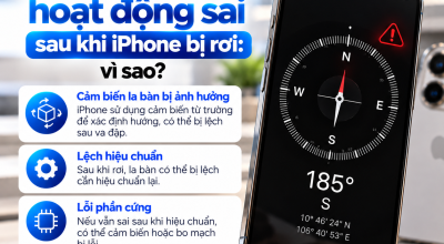 Ứng Dụng La Bàn Hoạt Động Sai Sau Khi iPhone Bị Rơi: Vì Sao?