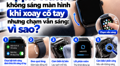 Apple Watch Không Sáng Màn Hình Khi Xoay Cổ Tay Nhưng Chạm Vẫn Sáng: Vì Sao?