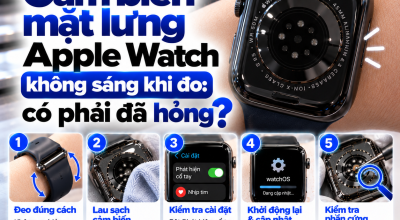 Cảm Biến Mặt Lưng Apple Watch Không Sáng Khi Đo: Có Phải Đã Hỏng?