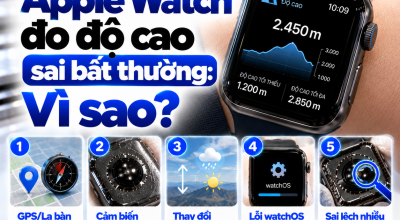 Apple Watch Đo Độ Cao Sai Bất Thường: Nguyên Nhân Từ Đâu?