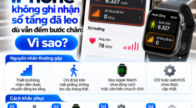 iPhone Không Ghi Nhận Số Tầng Đã Leo Dù Vẫn Đếm Bước Chân: Vì Sao?